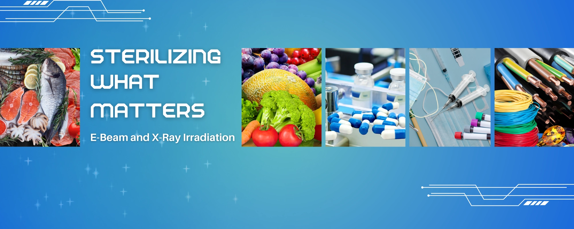 STERINA EBeam and XRay Sterilization we provide sterilization